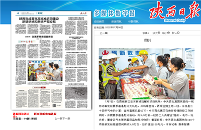 伟德国际1949西北集团珑樾府项目高温慰问——《陕西日报》